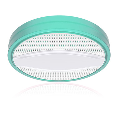 High Quality Light Green Multi-Functional Smart LED Ceiling Light